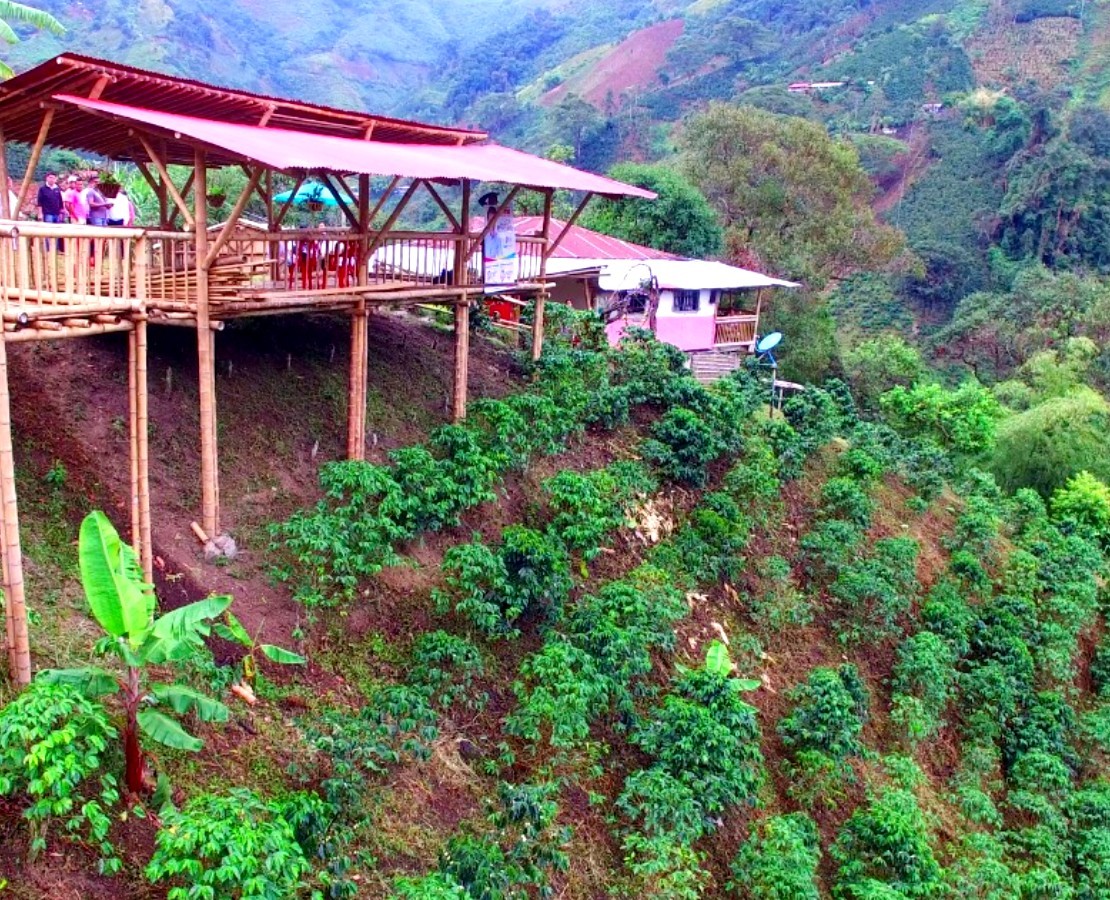 Huila